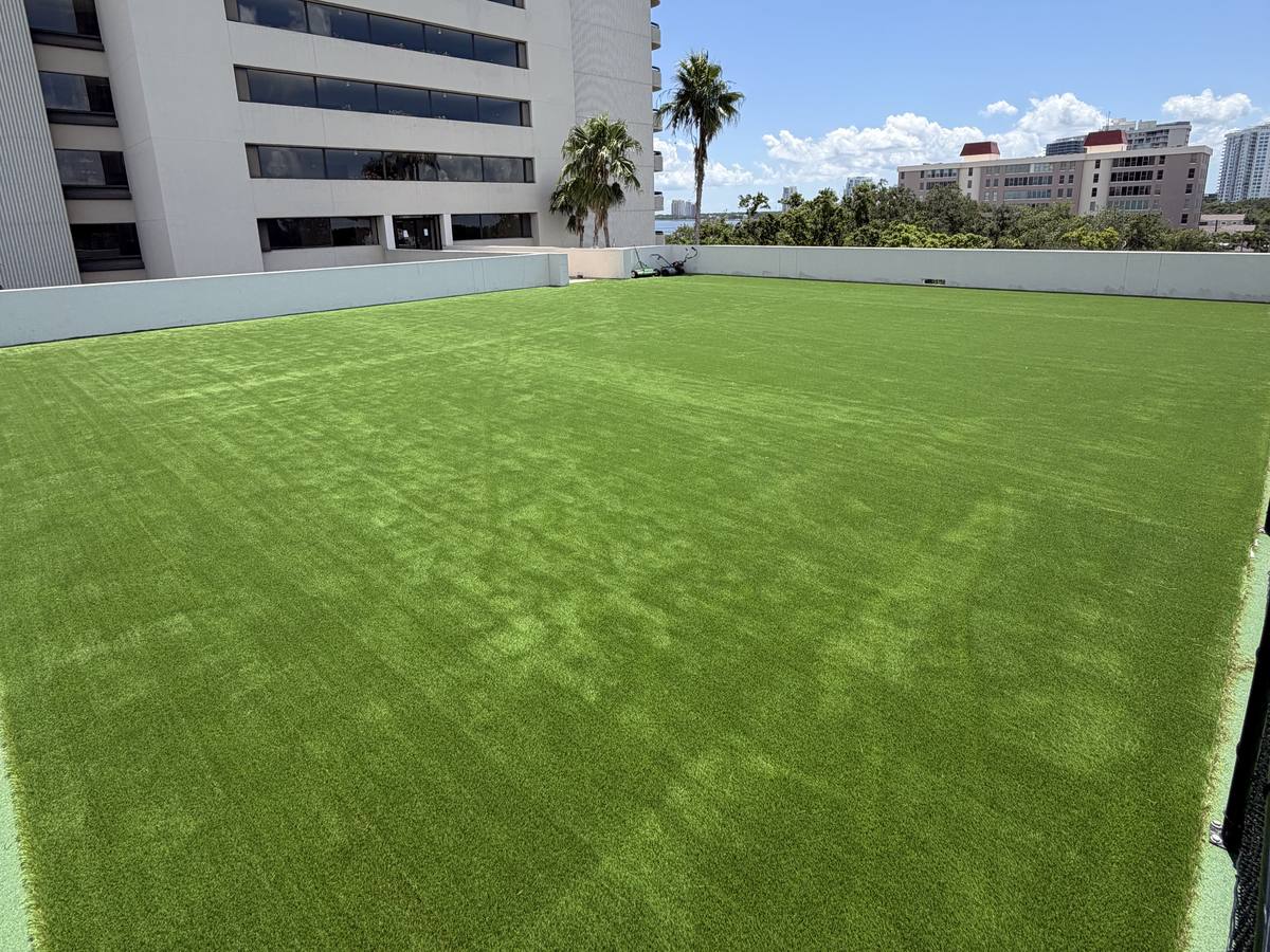 Synthetic turf field on a high-rise rooftop with the tower and the Tampa skyline behind it