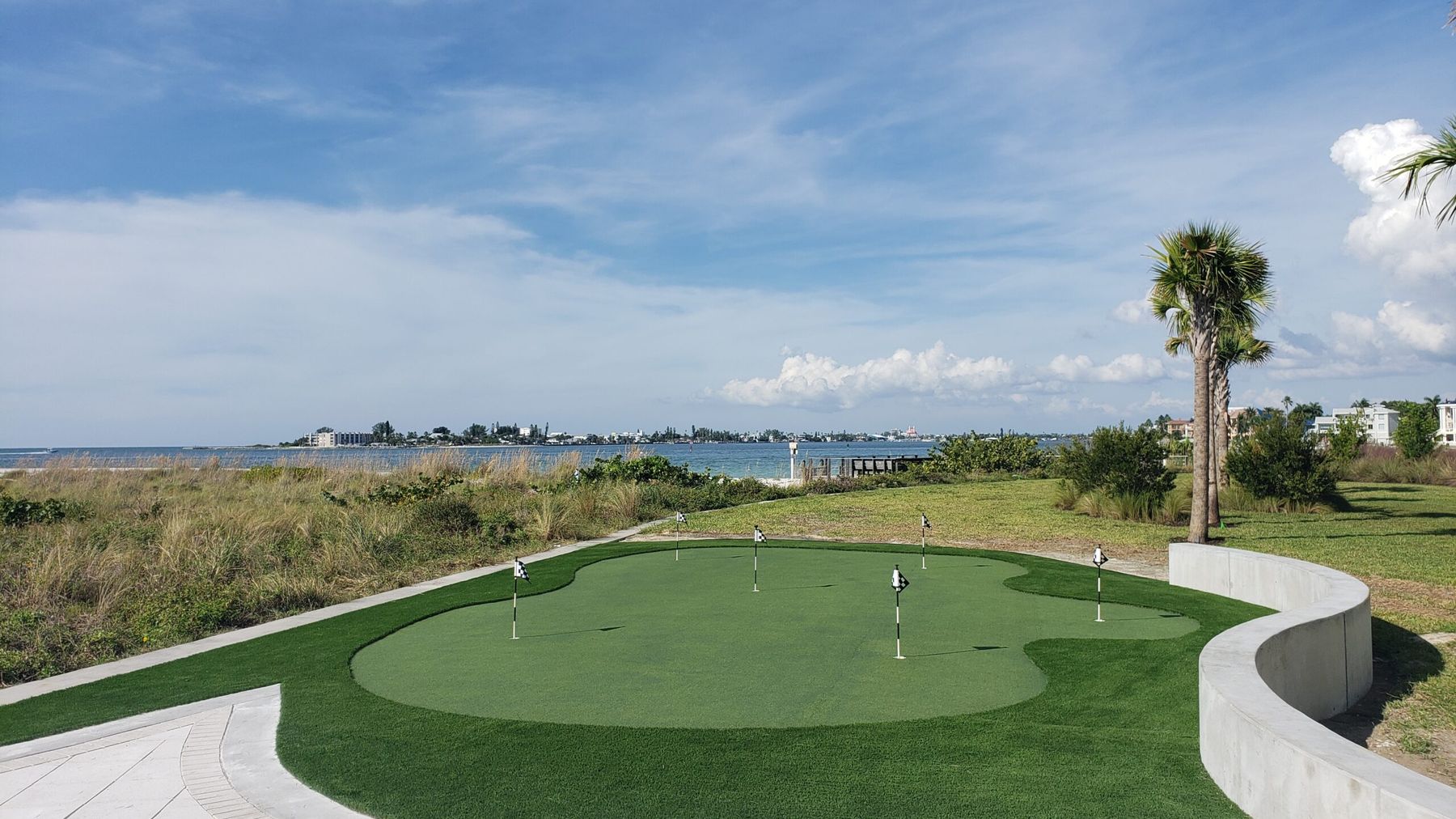 Custom putting green on a waterfront lot in Tampa Bay, bordered by a curved concrete edge