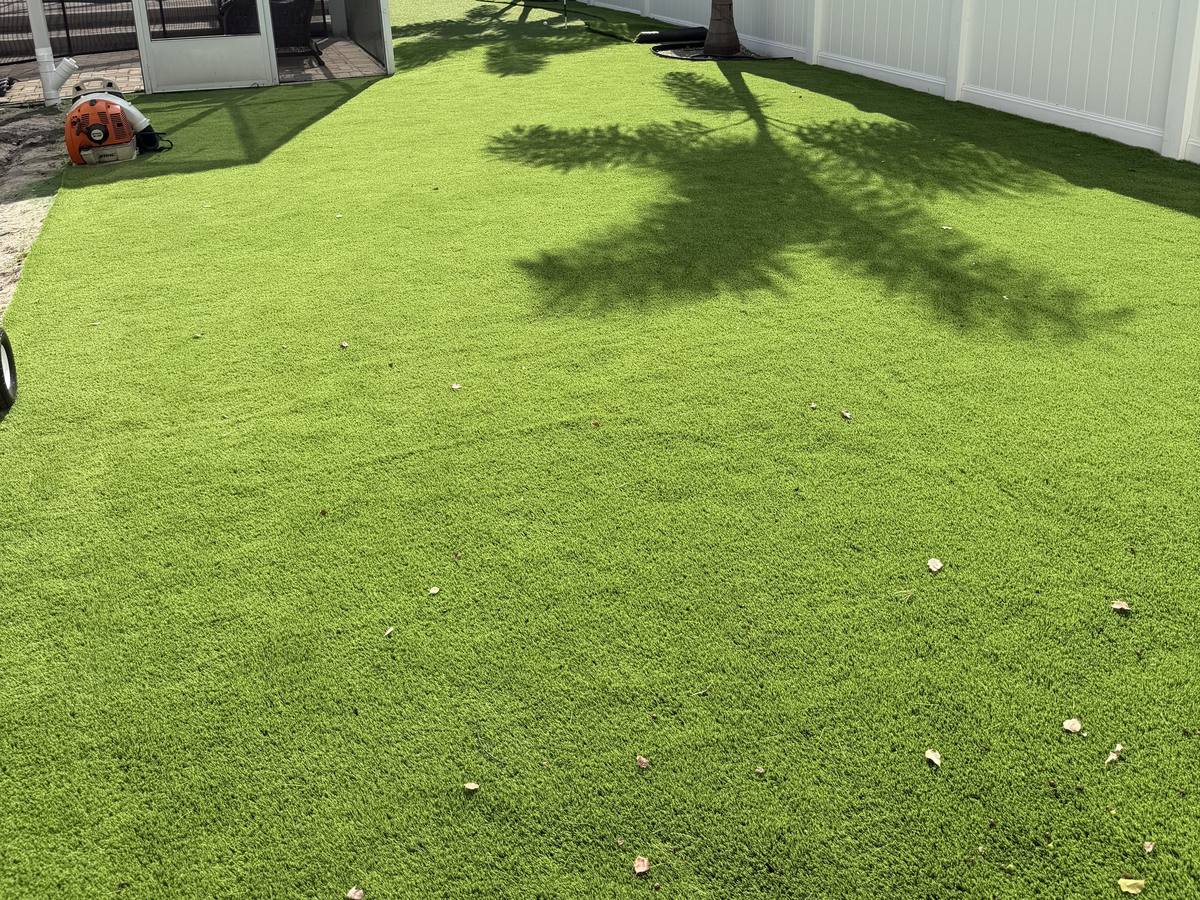 Backyard landscape turf beside a screened lanai and a white vinyl fence
