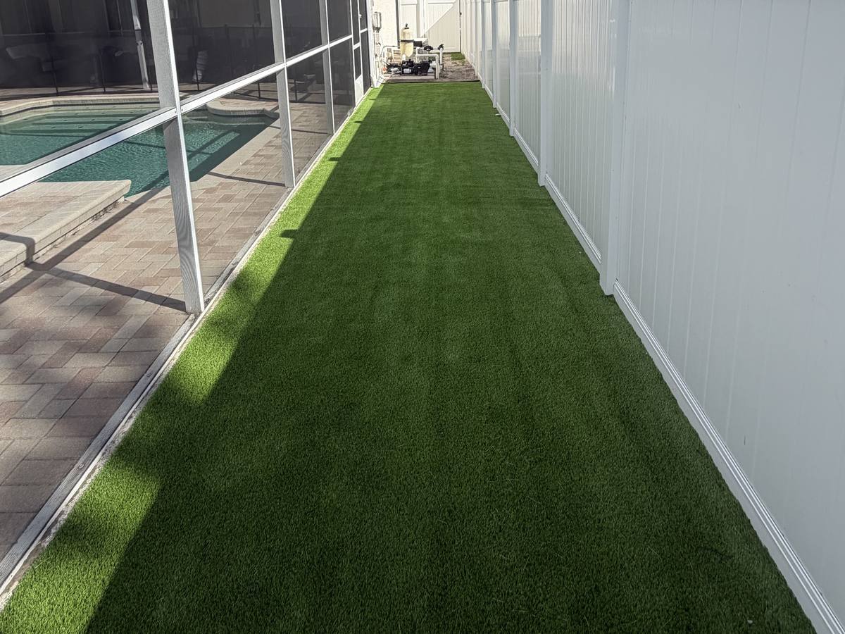 Turf side yard between a screened pool enclosure and a white vinyl fence